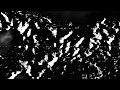 Download Lagu repugnance.mov