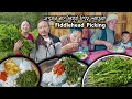 Download Lagu NIGURO Fiddlehead picking, cooking \u0026 eating || Nepali #niguro recipe || Organic vegetable in village