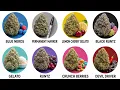 The Most Delicious Weed Strains You Can Buy in 2026