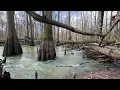 Arkansas hunting lease now available on HLRBO