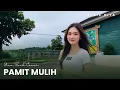 Lagu Lagu Cover Terbaru | PAMIT MULIH | Slow Rock Cover By Musix Qita