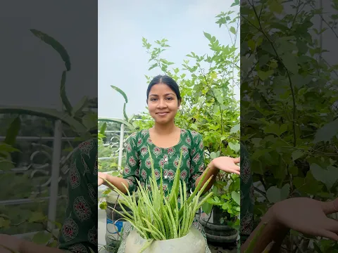 একটা গাছ থেকে এতগুলো চারা 😮.#video #minivlog #viral #village #shorts #explore #villagelife #short