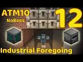 Industrial Foregoing - ATM10 NoBees 12
