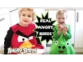 Download Lagu Real Angry Birds (kids in costumes)