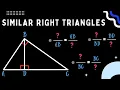 Similar Right Triangles - Geometric Mean Learn it fast