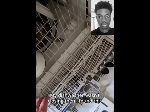 Imagine opening your dishwasher and seeing this… 😂💀 #shorts #funny #funnyvideo #cat #cats
