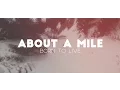About A Mile - Born To Live