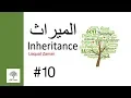Inheritance Mad Easy 10 Grand Daughters share