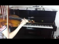 European tonewood violin Ebay-Yourdealscenter 1002