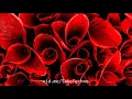 Moritz Hofbauer - In Between (Original Mix)