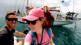 Swimming Naked in the Bio Bay | Sailing Wisdom [S4 Ep13]