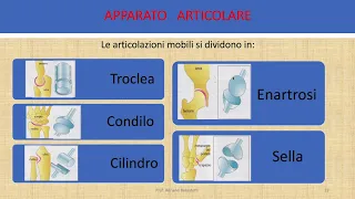 Le Articolazioni