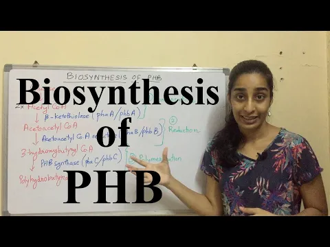 Download MP3 Biosynthesis of Polyhydroxybutyrate | Biosynthesis of PHB | Science Land