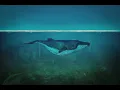 Download Lagu Sharks, Portals, The Moon and Whales:  Your Questions Answered with Deanna