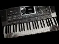 Download Lagu Мальчишник-Ночь  (Стиль в подарок) Korg Pa 900 Cover