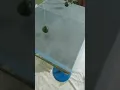 EFFECT OF CORIOLIS FORCE Motion of a pendulum in rotating frame of reference