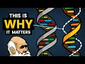 DNA vs RNA - Differences in Form and Function Stated Clearly