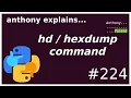 showing actual file bytes with hexdump beginner - intermediate anthony explains