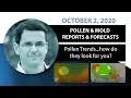 Seasonal Allergy Forecast Pollen and Mold Counts October 2 2020
