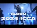 2024 ICCA WINNING SET BLOOM