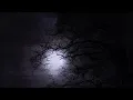 Download Lagu Spooky Horror Sounds | 10 Hours of Scary Music | Perfect for Halloween or Scary Events