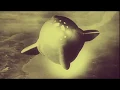 Download Lagu First Girl On The Moon - \