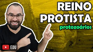 Reino Protoctista: Protozoários - Aula 13 - Módulo IV: Microbiologia, Fungos e Protistas | Prof Gui