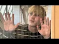 I Believe I Can GIF - Exploring Graphic Design