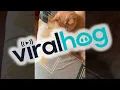 Download Lagu Kat imiteert munttruc van baasje || ViralHog
