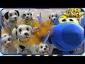 Download Lagu Superwings | Best | Mijn speelse dierenvriendjes | Verzameling van de beste afleveringen