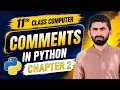 Comments and Rules in Python Explained Python Programming 11th Class Computer Science Chapter 2