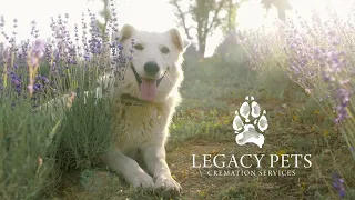 Legacy Pets Cremation Services Information