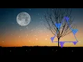 Download Lagu Alan Walker - Faded [NCS Fanmade]