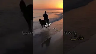 اسم عادل شيلة 