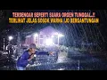 Lagu TERDENGAR SEPERTI SUARA ORGEN TUNGGAL..!! TERLIHAT JELAS SOSOK WARNA IJO BERGANTUNGAN