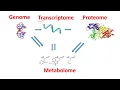 Genome Transcriptome Proteome Metabolome within 2 minutes Genomics Transcriptomics Proteomics