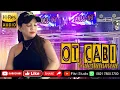 Download Lagu FULL DJ OT CABI || PANGKALAN LAMPAM #wedding #pernikahan #coverlagu #dangdut #orgen #remix PART 2