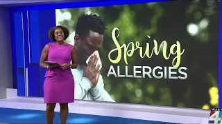 Treatments reliefs for springtime allergies