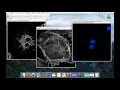 Tute1 Basic Image Processing with ImageJ