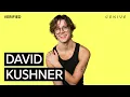 Download Lagu David Kushner \
