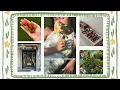 Download Lagu una semana conmigo | mi tienda vintage favorita, compras en el vivero y limpio mi maquillaje