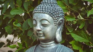 buddham sharanam gachami best buddhast song in world satu healing