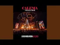 Download Lagu Te Amo (Live in MEO Arena)
