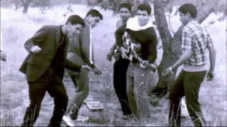 شنطة سفر ناصر المزداوي 