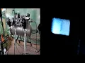 Download Lagu MK4 Reactor - MicroPlasma \u0026 Anti Life Formation