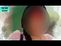 Download Lagu Anupama BGM | Episode 408
