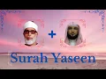 Download Lagu Mahmoud Khalil Al-Hussary + Maher Al Mueaqly || Surah Yaseen ||