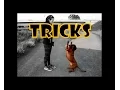 Bavarian Mountain Hound Tricks