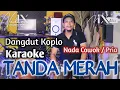TANDA MERAH KARAOKE - NADA COWOK / PRIA - DANGDUT KOPLO - VERSI ADELLA - SUARA JERNIH - NADA9 - GLER