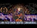 Download Lagu ☸Simhamukha Mantra(Recitation)Lion-Faced Dakini Mantra|Sengdongma Mantra|Protect From Negativities